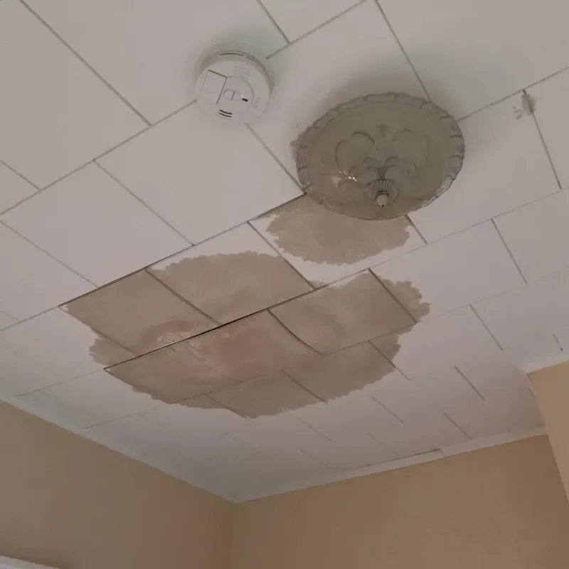 Ceiling Water Damage Repair in Louisa County, IA