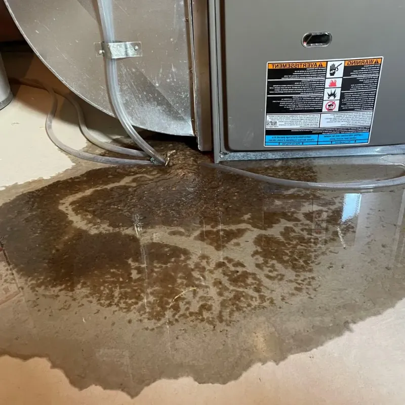 Pipe Burst and Leak Restoration in Louisa County, IA