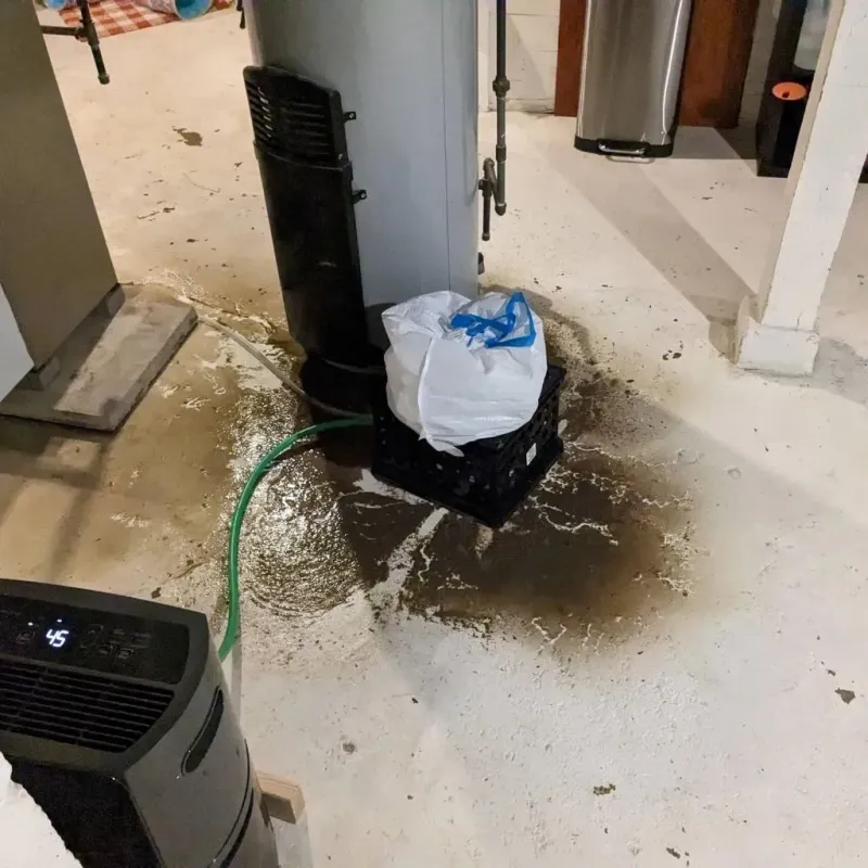 Sewage Backup Cleanup Service in Louisa County, IA